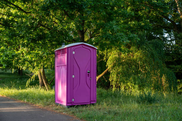 Best Affordable portable toilet rental  in Davisboro, GA